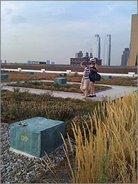 USPS Green Roof - NYC - Scientific American