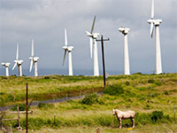Wind Farm - Flickr user imotov